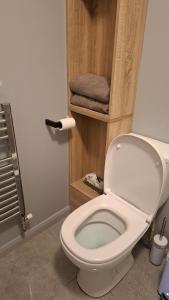 a bathroom with a white toilet in a room at Apartment 1 at Busy Bee in Daingean