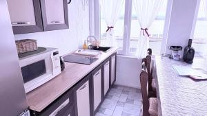 a kitchen with a counter top with a microwave at La Tata Oancea Moldova Veche in Moldova Veche