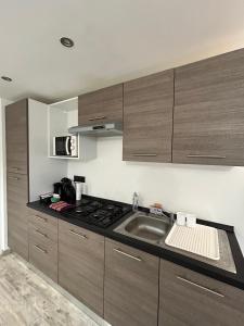 a kitchen with a sink and a stove at Studio au calme les hirondelles in Les Mées