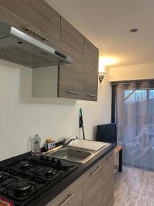 a kitchen with a sink and a stove top oven at Studio au calme les hirondelles in Les Mées