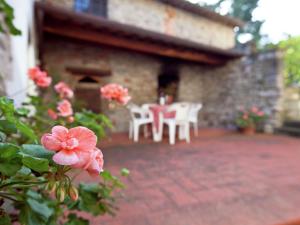 Vonkajšia záhrada v ubytovaní Apartment in Chianti near Medieval Castle