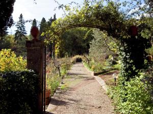 Vonkajšia záhrada v ubytovaní Apartment in Chianti near Medieval Castle
