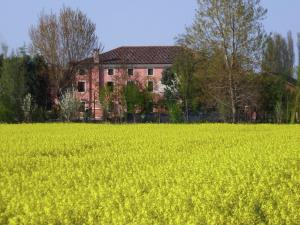 a field of rapeseed with a house in the background at Belvilla by OYO Villa Romana Uno in Pontecchio Polesine