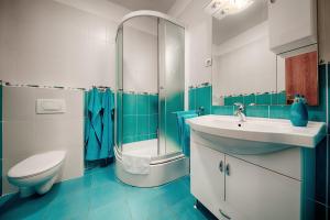 La salle de bains est pourvue d'un lavabo, de toilettes et d'une douche. dans l'établissement Apartments and Rooms Dis, à Vis