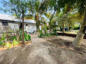 a yard with a fence and palm trees in front of a house at Hobbit in Midigama East