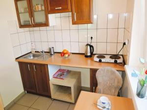 a small kitchen with a sink and a counter top at Holiday House in Szczecin at the lake with parking space for 4 persons in Szczecin +25 photos