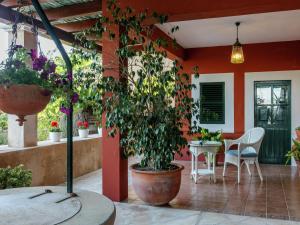 a patio with a potted plant and a table and chairs at Holiday Home in St Josep de sa Talaia with Pool in Sant Josep de sa Talaia