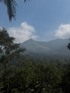 Gallery image of Vythiri Silent Leaf in Wayanad