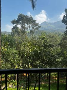 Gallery image of Vythiri Silent Leaf in Wayanad