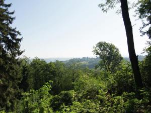 una vista del bosque desde la cima de una colina en Belvilla by OYO Castagnola en Rocca Grimalda