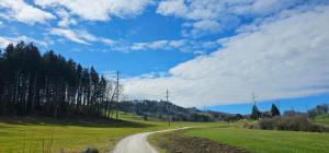 a dirt road in the middle of a green field at RS Boardinghouse Aparthotel mit Charme und Hotelservice in St. Gallen
