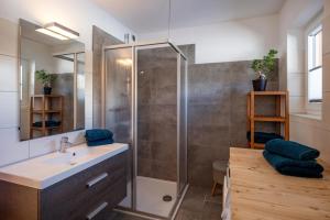 a bathroom with a shower and a sink at Harry's Hittn in Söll +8 photos