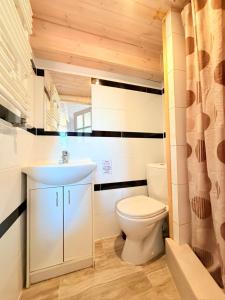 a bathroom with a white toilet and a sink at Wspaniały Zakątek in Sędziszowa +33 photos