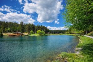 a lake with a house and trees in the background at Apartment Lale - Frankenwald, Waldblick & Rennsteig in Steinbach am Wald