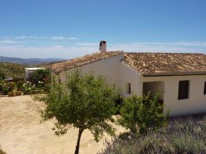 a white house with a tree in front of it at Belvilla by OYO Casa Coqui Juan Ram n in La Joya