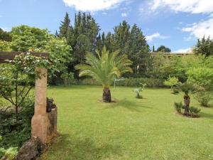 Saint-Paul-en-ForêtにあるLuxury villa in Provence with gardenの芝生の椰子の木が2本ある庭園