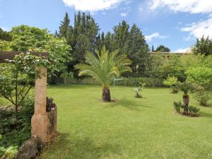 O grădină în afara Luxury villa in Provence with garden