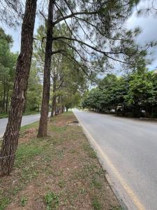 an empty road with trees on the side of the road at Durrani Lodges - Islamabad G11 in Islamabad +14 photos