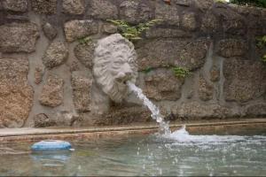 a fountain with a statue of a lion spewing water at Casa com Piscina Privada de 10m e Jardim, até 8 pessoas, perto do Porto in Landim +53 photos