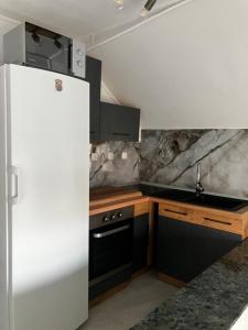 a kitchen with a refrigerator and a sink at Biser jezera in Gornja Šuma
