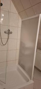 a shower with a glass door in a bathroom at Willa Jordanówka in Czorsztyn