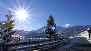 Afbeelding uit fotogalerij van Appartement Hollaus in Fügenberg