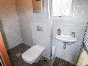 a bathroom with a toilet and a sink at Bosca Neadu in Dingle +21 photos