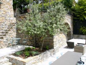 una pared de piedra con un árbol en el patio en Belvilla by OYO Casa Mazzola, en Fivizzano