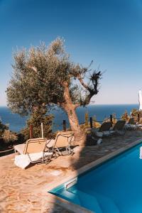 a pool with chairs and a tree next to the ocean at Sunset View Studios in Agios Nikitas +27 photos