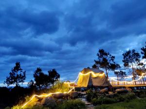 a marquee in a field at night with lights at Bamboo Glamping Tà Xùa in Bắc Yên