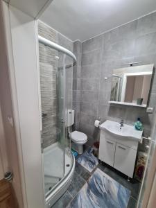 a bathroom with a shower and a toilet and a sink at Plavi Safir stan in Bijeljina