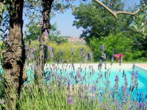 カスティリオーン・フィオレンティーノにあるCharacteristic cottage in the Tuscan hillsの紫の花が咲く庭園、スイミングプール
