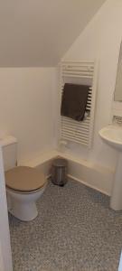 a bathroom with a toilet and a sink at Green Acres Bretagne in Maël-Carhaix +7 photos