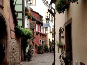 リクヴィールにあるApartment in Riquewihr with Terraceの旧市街の花の小路 +29枚の写真