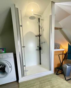a shower in a laundry room with a washing machine at AppartCosy 19 in Vitré