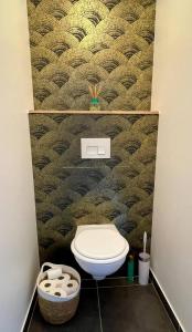 a bathroom with a toilet and a wall at AppartCosy 19 in Vitré