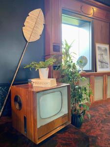 an old television with a plant on top of it at AppartCosy 15 in Vitré