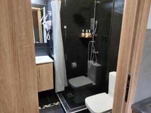 a bathroom with a shower and a toilet and a sink at Ulysses Apartments Ermou in Athens