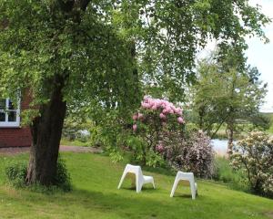 two white chairs sitting in the grass under a tree at Reetdachhaus direkt am Wasser in Breiholz