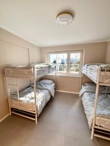 two bunk beds in a room with a window at Pokoje Chojnice in Chojnice