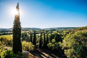 a view from the top of a hill with trees at Le Roc sur l'Orbieu in Saint-Pierre-des-Champs +22 photos