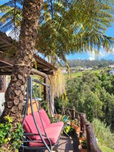 a hammock under a palm tree on a porch at Boutique Chalet in Calheta in Arco da Calheta