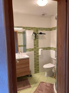 a bathroom with a sink and a toilet at Studio Apartment Žafran in Smoljanac +23 photos