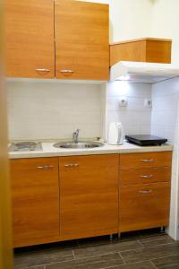 a kitchen with wooden cabinets and a sink at Apartman VIK in Brzeće +36 photos