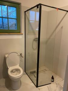 a bathroom with a toilet and a glass shower at Dom Galicja in Radziechowy +17 photos