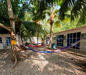 a group of hammocks tied to trees in front of a building at Hostal Bahia Bocachica in Cartagena de Indias