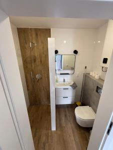 a bathroom with a shower and a toilet and a sink at Nocleg Szwed-Pol in Jastrowie
