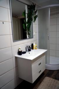 a bathroom with a white sink and a mirror at Picante apartment in Srbobran +14 photos