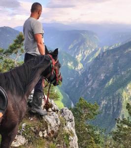 a man sitting on a horse on top of a mountain at Rafting Camp Encijan in Foča