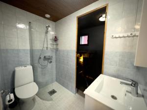 a bathroom with a toilet and a shower and a sink at Riihen Tupa in Äkäslompolo